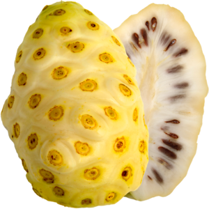 noni-superfood